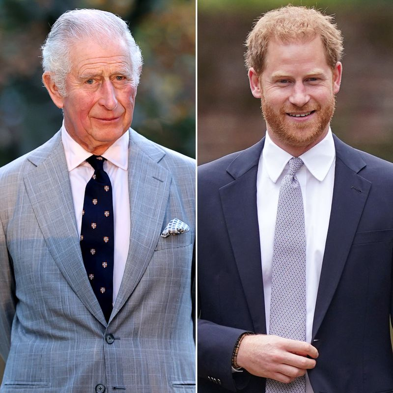 El príncipe Carlos y el príncipe Harry tienen