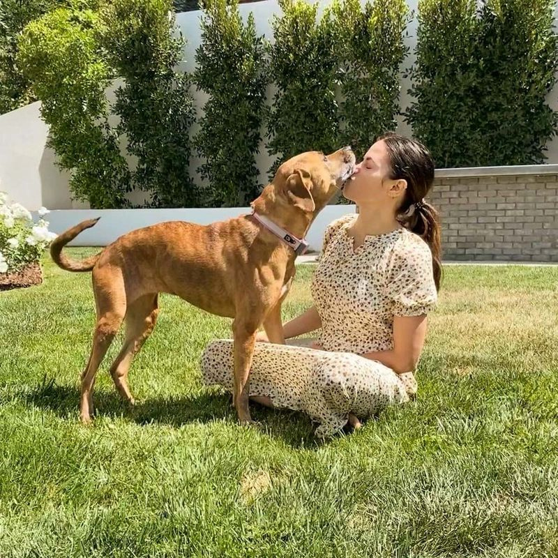 Jenna Dewan Lamenta Pérdida Repentina Perro Violet Mae Triste Más Allá De Las Palabras