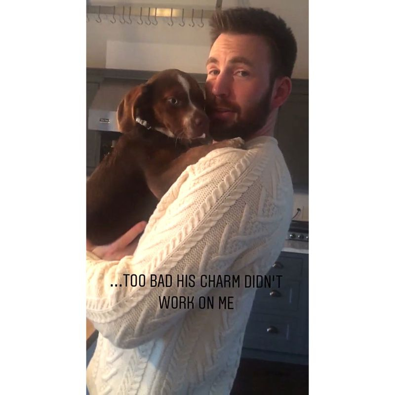 アリー・レイズマンは何年もの間クリス・エヴァンスと友達になっています子犬