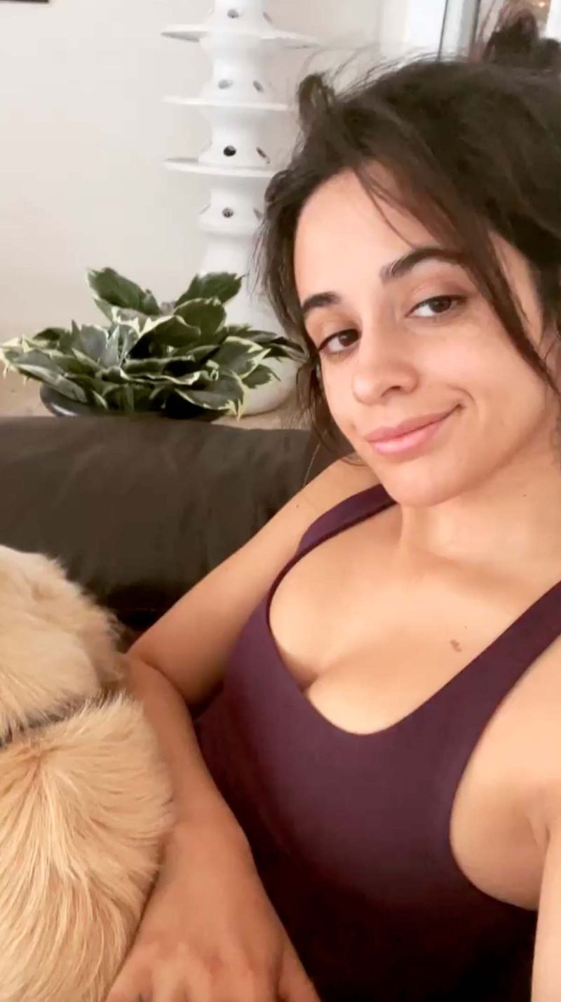 Puppy Love Camila habla de estar agradecida después de la separación de Shawn