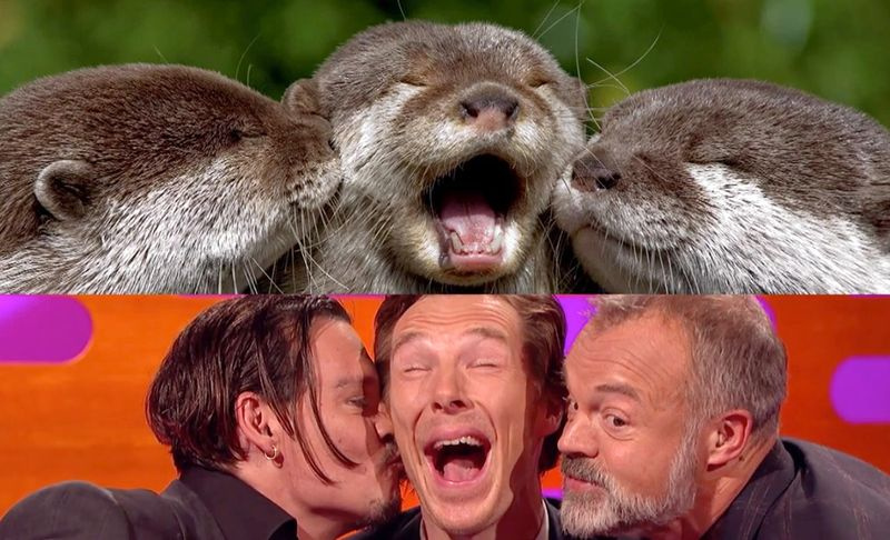 Benedict Cumberbatch, Johnny Depp a Graham Norton