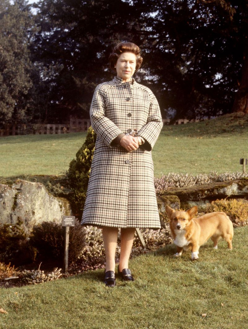 Dronning Elizabeth II ødelagt af døden af den nye hvalp Fergus 2