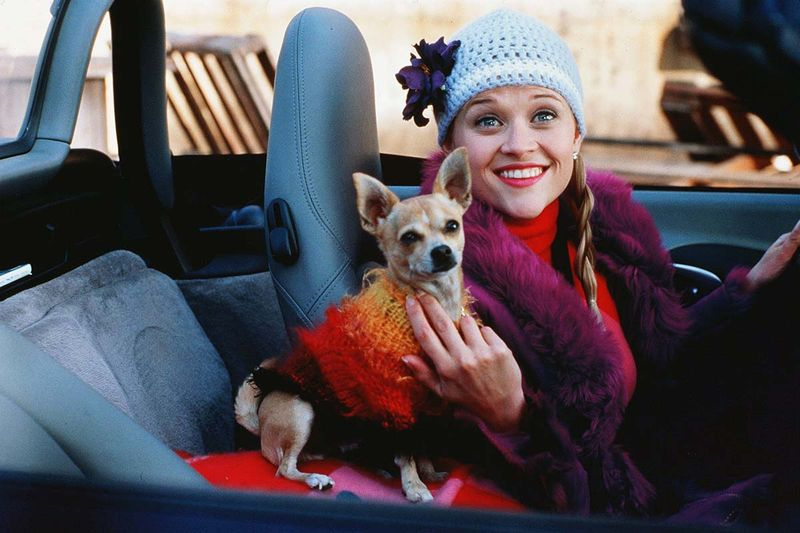リース・ウィザースプーンは、キューティ・ブロンドの代替エンディング写真を投稿しているようです
