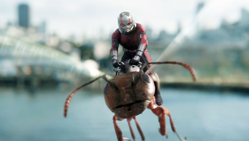 Paul Rudd Ant-Man y la Avispa