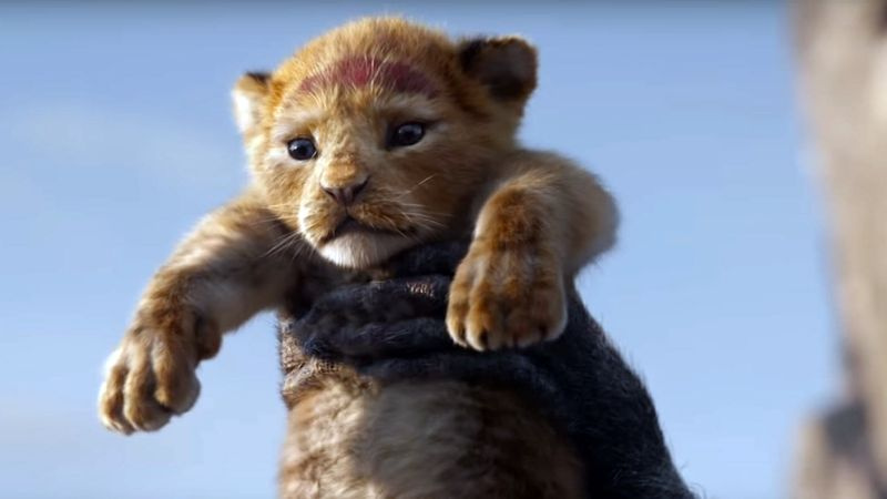 19 Filme im Jahr 2019