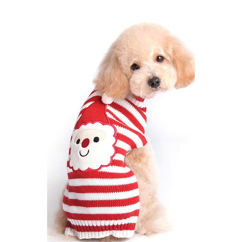 ropa-de-fiesta-santa-perro-jersey