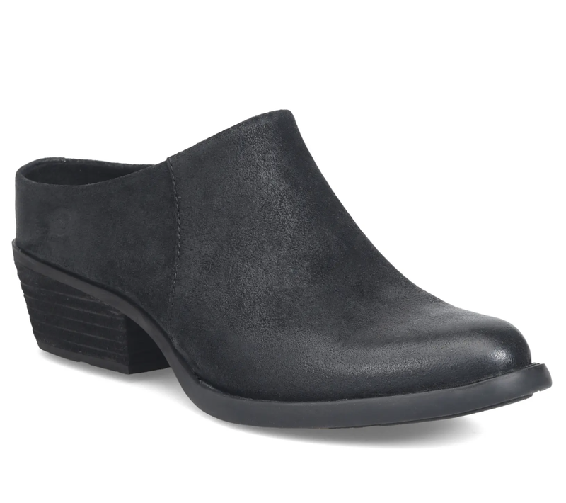Enfants Maroc Mule