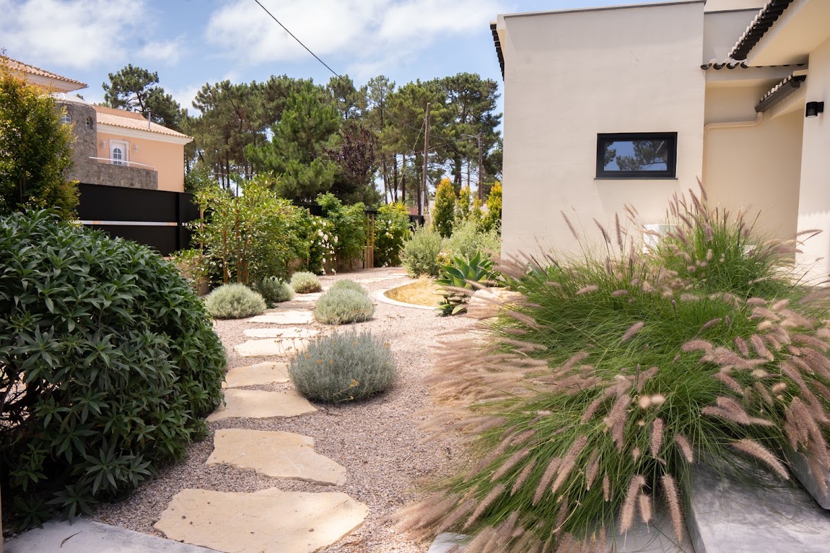 Janvier Plants & Design