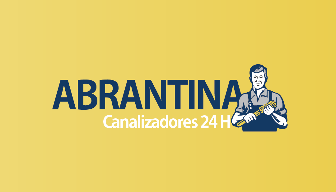 Abrantina Canalizadores e Desentupimentos 24h foto 10